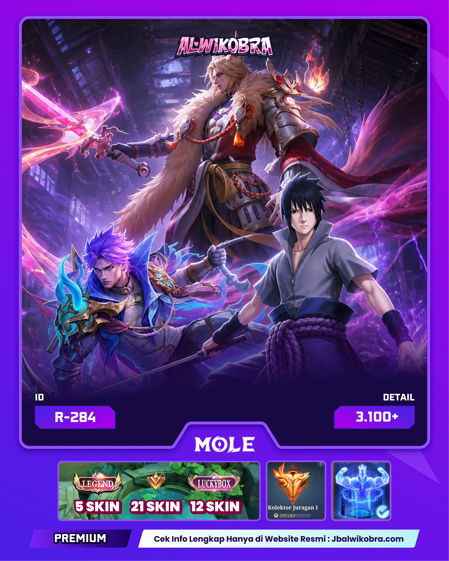 MLBB R284 — MLBB — Reguler