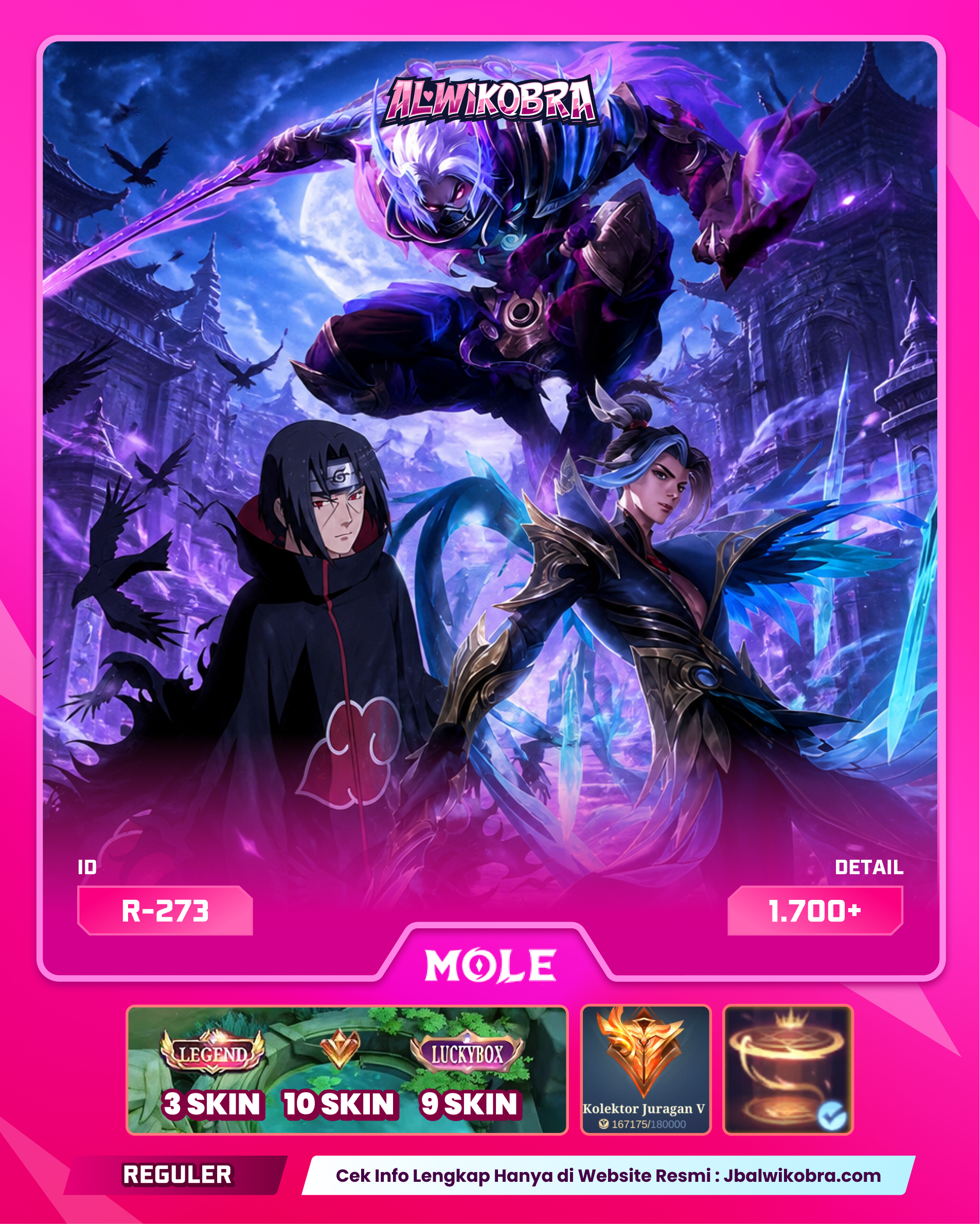 MLBB R273 — MLBB — Reguler