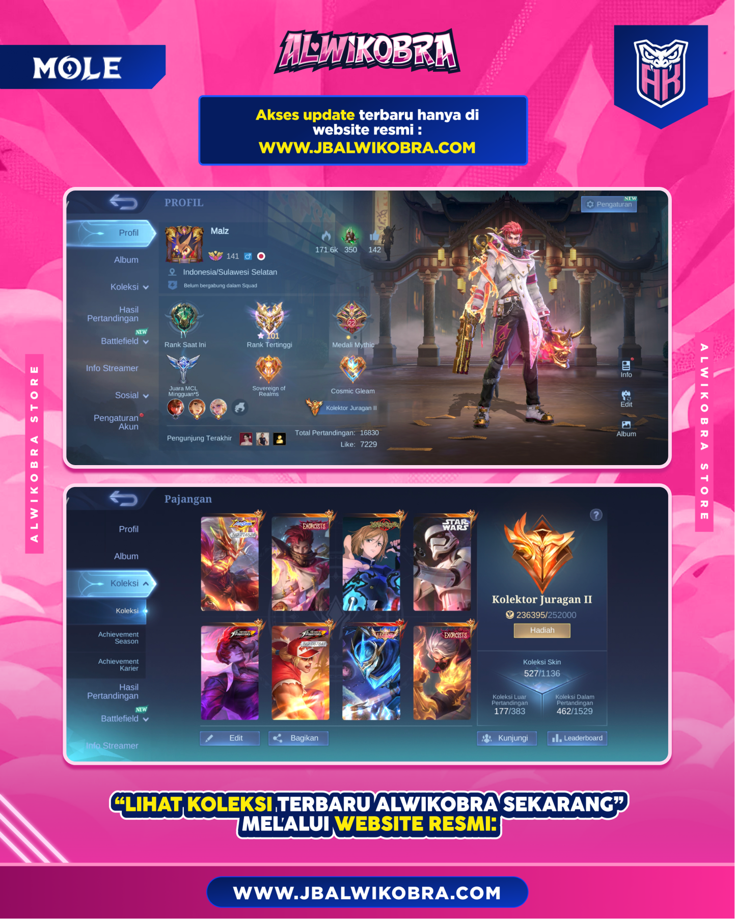 MLBB R300 2