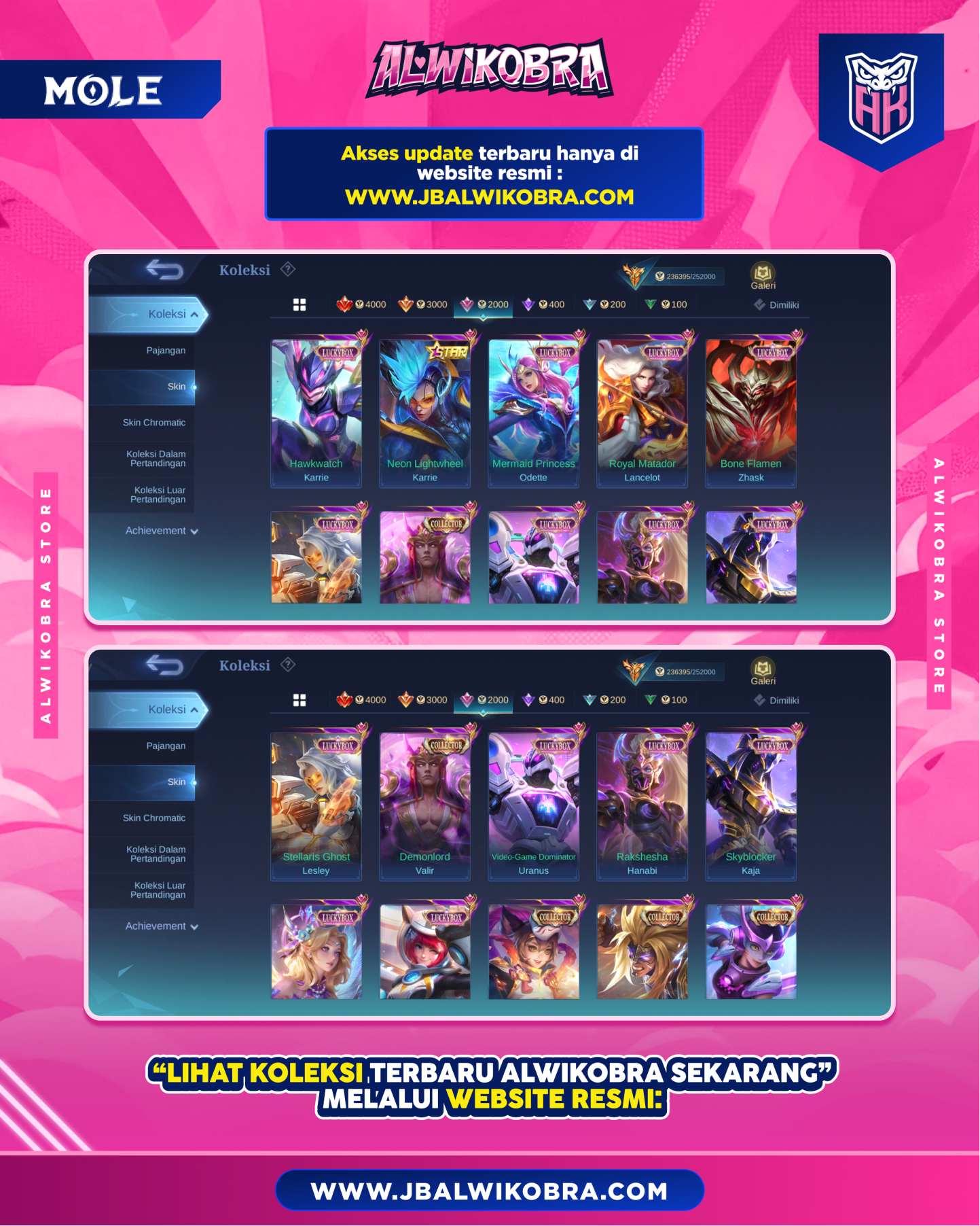MLBB R300 6